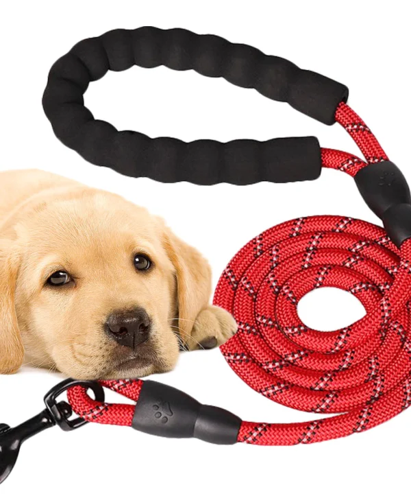 Tvirtas dresūros pavadėlis su rankena