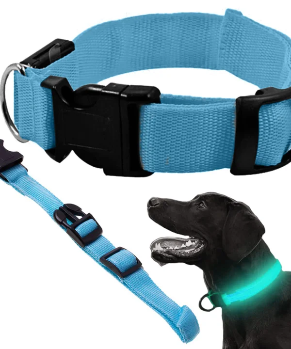 Šviečiantis tamsoje LED antkaklis