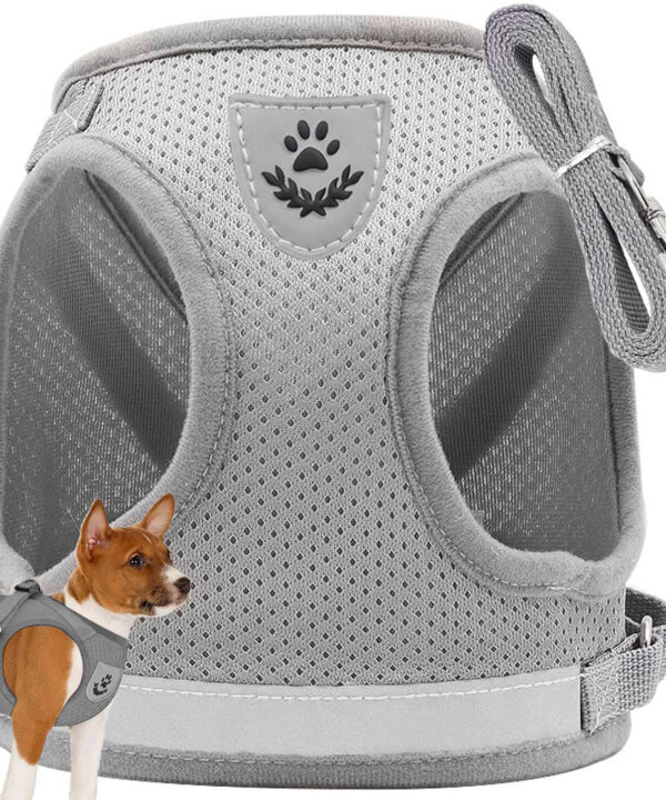 Petnešos šunims, katėms, triušiams su atšvaitu