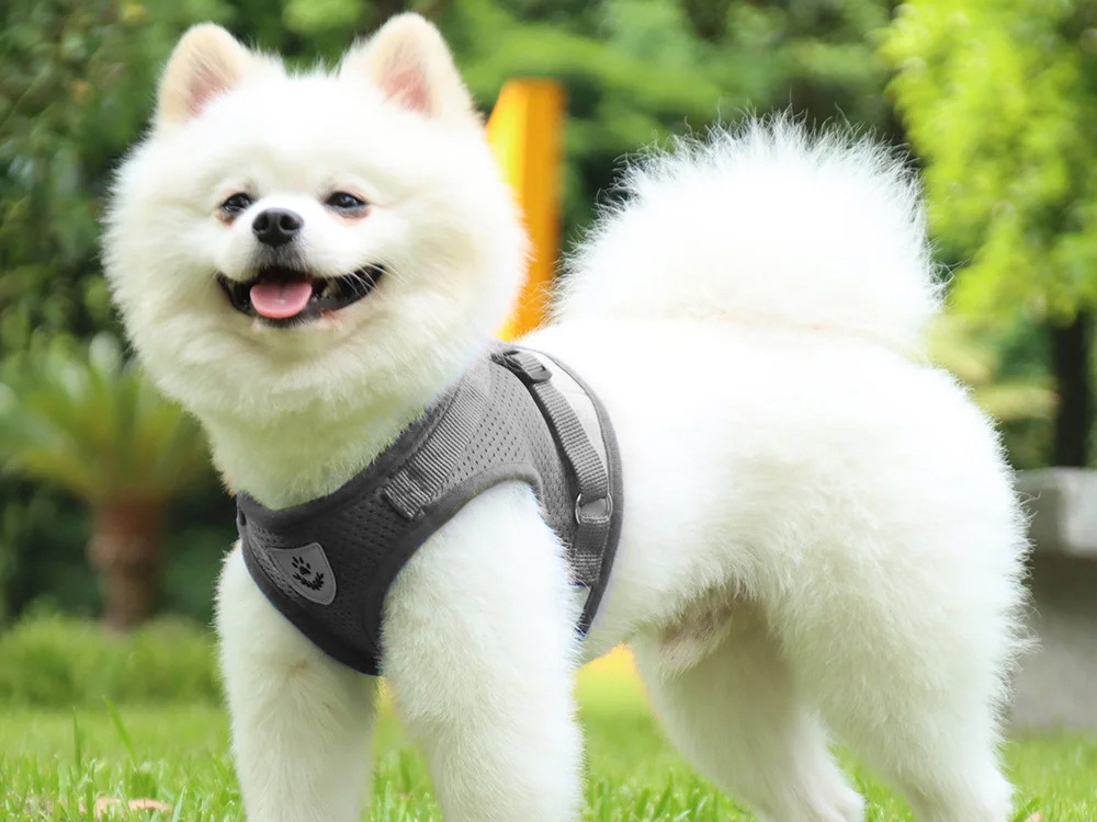 Petnešos šunims, katėms, triušiams su atšvaitu - Image 9