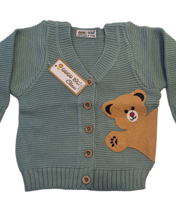 Mielas megztinis berniukams su meškiuku mėtinis